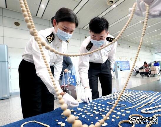 广州海关企业注册与报关报检手续网上“一站式”办理 广州海关企业注册与报关报检手续