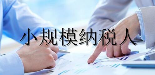 小规模纳税人进行纳税申报时，需要注意哪些问