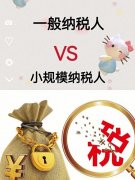 小规模和一般纳税人有什么区别？