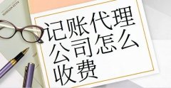 财务公司代理记账的收费方式及注意事项